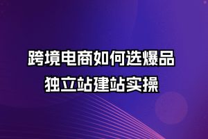 跨境电商如何选爆品，独立站建站实操
