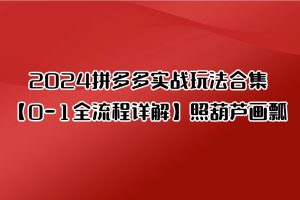 2024拼多多实战玩法合集【0-1全流程详解】照葫芦画瓢