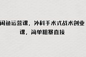 闲鱼运营课，外科手术式战术创业课，简单粗暴直接