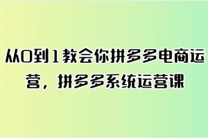 从0到1教会你拼多多电商运营，拼多多系统运营课