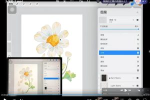 昭春落日2023年iPad水彩花卉课part1