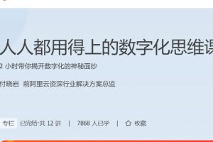 付晓岩：人人都用得上的数字化思维课，2 小时带你揭开数字化的神秘面纱