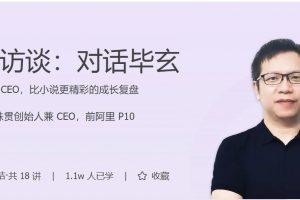 超级访谈：对话毕玄——从非专业到 CEO，比小说更精彩的成长复盘