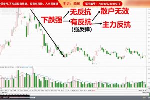 李栋2024新版牛股特训营之牛股波段系列