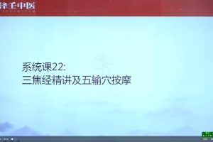 千金舌诊系统班