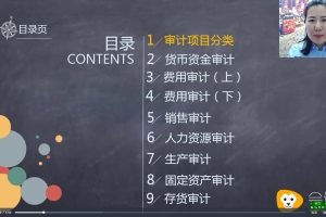 会计狮课堂沫沫：企业内审审计助理必修课（视频）