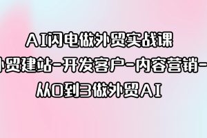 AI闪电做外贸实战课，外贸建站-开发客户-内容营销-从0到3做外贸AI