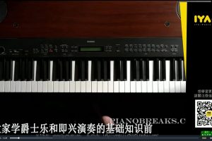 《爵士钢琴教学》Mark Meronek 15节视频