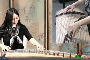 袁莎全套课程（含2022新课）