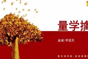 量学大讲堂金城李亚民量学擒龙伏击龙头量学段位课1-14段