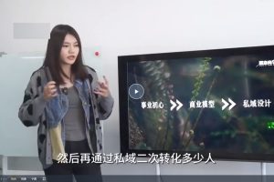 私域IP-变现高手课