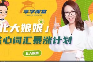 北大英语娘娘语法+核心词汇暴涨计划+英语大招+北大才女16000词汇