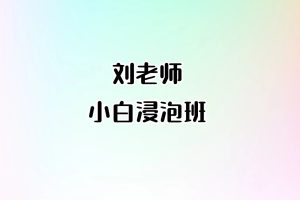 刘老师-小白浸泡班(原价980元)