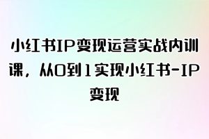 小红书IP变现运营实战内训课，从0到1实现小红书-IP变现