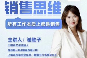 精炼销售思维：将每一项工作化作成交利器，洞察商业本质-掌握成交技巧