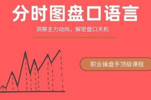 一飞金融职业操盘手顶级课程《分时图盘口语言——绝密主力操盘课程》