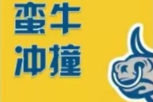 蛮牛冲撞《蛮牛特训班》龙头战法、首阴战法、选股模式以及实战值博率计算