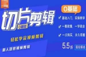 0基础IP切片剪辑，轻松学会视频剪辑，新人玩转视频剪辑