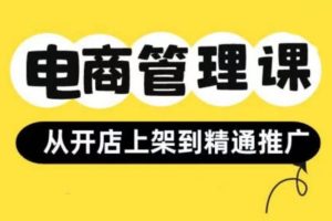 小红书&闲鱼开店从开店上架到精通推广，电商管理课