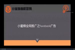 外贸跨境电商全网推广之Facebook广告投放基础课