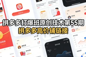 叮当会第55期拼多多打爆班：原创高价铺链接技术，快速引爆店铺流量