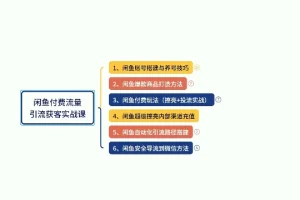 闲鱼付费投流获客实战教程：从账号养号、爆款打造到精准引流全攻略