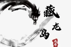 游资混江龙炼金士训练营：2026年1月龙哥藏龙岛实战教学，视频课件全解析