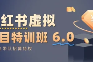 陆明明小红书虚拟项目特训课8.0：从0到1打造稳定盈利店铺，抓住3月流量红利与运营秘籍
