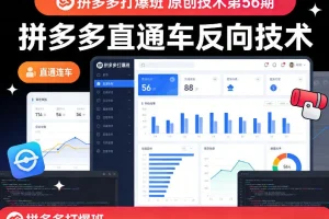 叮当会第56期拼多多打爆班：揭秘直通车反向技术，引爆店铺流量与销量