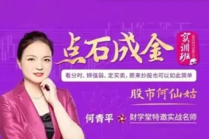 财学堂何青平股市点石成金系统课：20节实战教学，掌握股票投资核心技巧