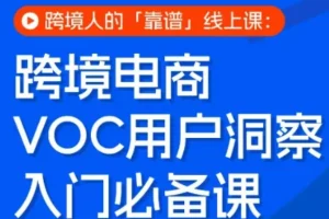 跨境电商VOC用户洞察实战课:跨境人必备的线上运营指南与数据分析教程