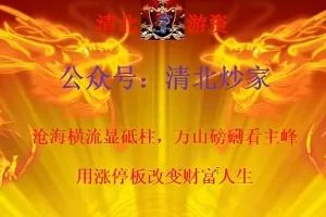 清北游资竞价绝杀涨停板课程年度版（2024.3-2025.12）：掌握涨停板交易核心技巧