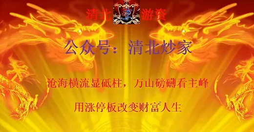 清北游资竞价绝杀涨停板课程年度版（2024.3-2025.12）：掌握涨停板交易核心技巧插图