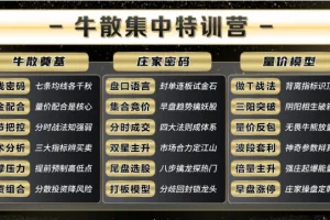 2025年袁博牛散特训营：核心视频教程、实战资料与独家指标全解析