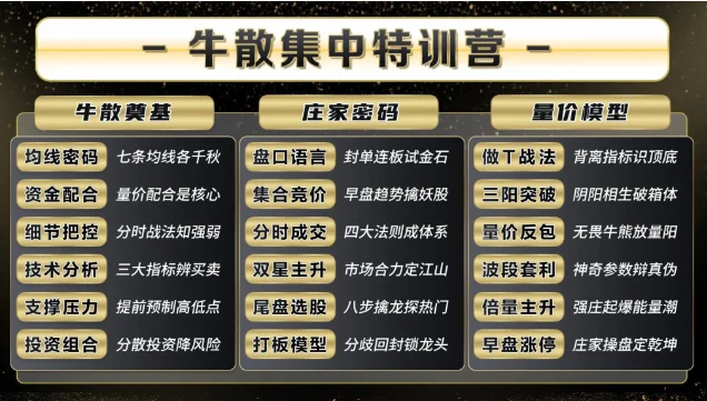 2025年袁博牛散特训营：核心视频教程、实战资料与独家指标全解析插图