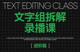 阿冲文字组拆解进阶课：掌握高效写作与SEO优化的核心技巧插图