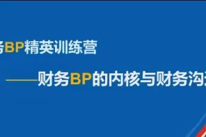 数字赋能财务BP：掌握核心能力与高效沟通技巧的精英特训营