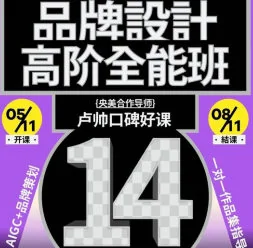 卢帅品牌设计高阶班第14期2025年招生:专业品牌策略与视觉设计提升课程插图 卢帅品牌设计高阶班第14期2025年招生:专业品牌策略与视觉设计提升课程插图