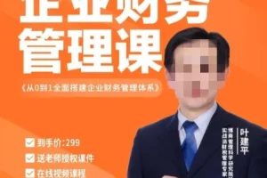 叶建平：企业财务管理体系搭建全攻略，从0到1实现高效财务管控