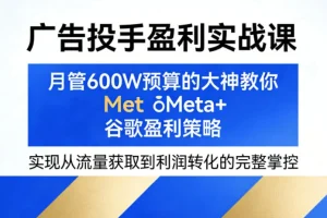 Meta+谷歌广告盈利实战课:月管600W预算大神教你流量转化策略,实现从投放到利润的完整掌控