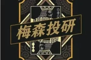 梅家圈超级好赛道进阶实战:2026年投资策略视频与文档全解析