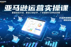 亚马逊运营全流程实操课：选品方法、新品口诀与广告打法，手把手教你打造跨境爆款店铺