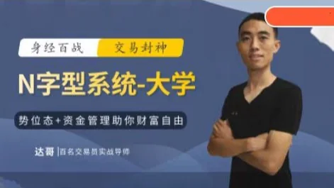达哥N字交易系统全阶段教程：从小学入门到大学精通实战指南插图