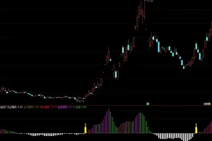 通达信“筹码庄峰”指标套装使用指南：精准判断主力控盘程度，捕捉主升浪行情