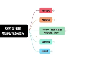 纪问直播运营指南：新手快速上手的浓缩精华与实操技巧