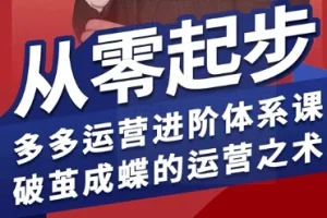 海神拼多多运营进阶系统课：从零起步掌握运营体系，破茧成蝶的实战技巧