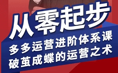海神拼多多运营进阶系统课：从零起步掌握运营体系，破茧成蝶的实战技巧插图