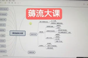 绅白虚拟薅流实战课：高效引流技巧与策略指南