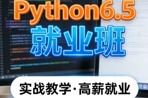 Python 6.5就业班：系统学习编程，高薪就业实战课程