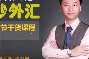 外汇日内趋势交易系统：陈吉明节奏交易技巧精讲